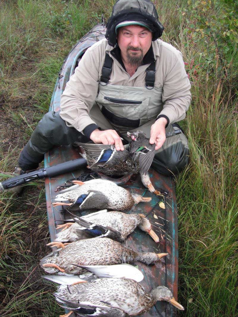 Duck hunting season in King Salmon